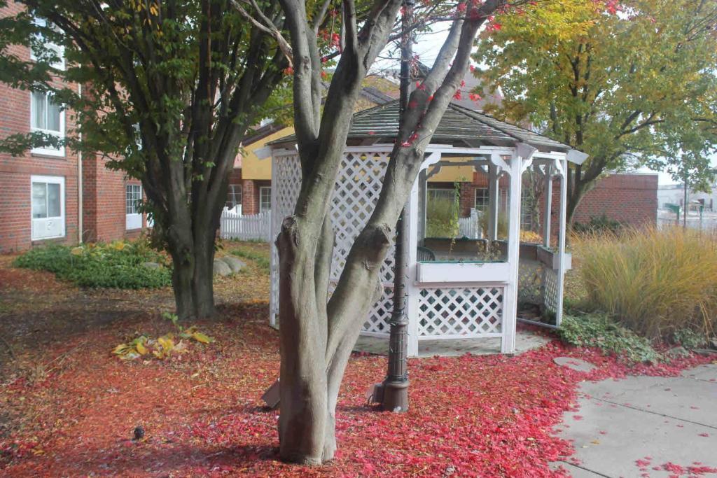 Отель Wyndham Garden Grand Rapids Airport Каскейд Экстерьер фото